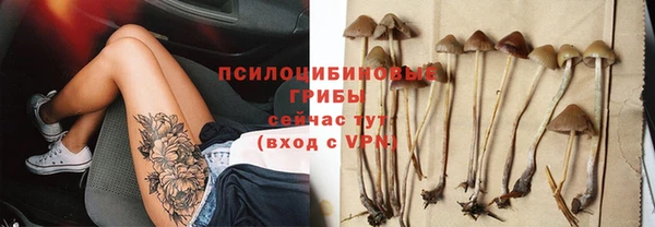 гидра Аркадак