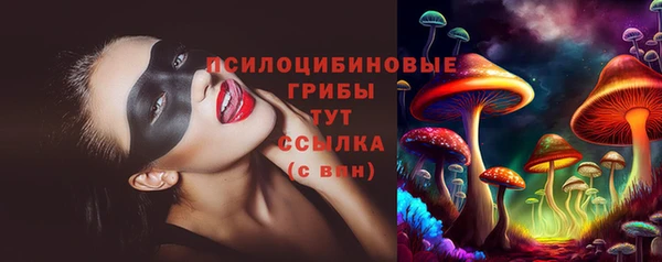 трава Арсеньев