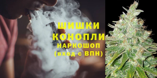 трава Арсеньев