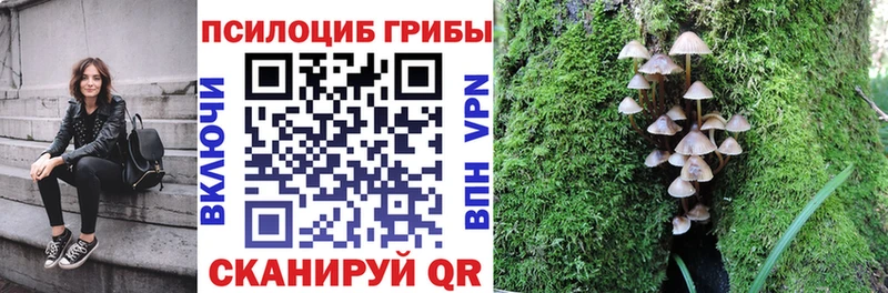 Псилоцибиновые грибы Psilocybine cubensis  цена наркотик  Рославль 
