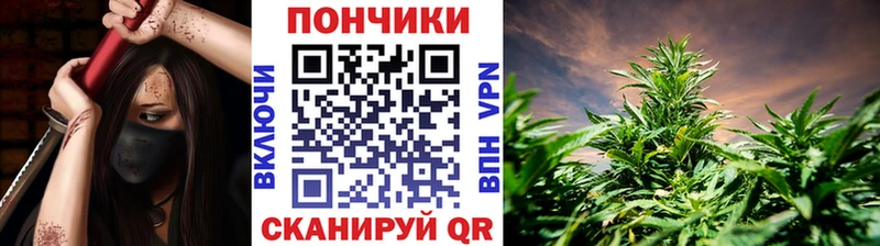 наркошоп  Рославль  Шишки марихуана VHQ 